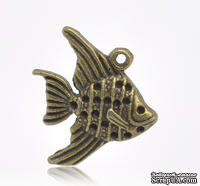 Металлическое украшение/подвеска &quot;Золотая рыбка&quot; 21мм x 19мм, античная бронза, 1 шт. - ScrapUA.com