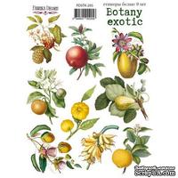 Набор наклеек (стикеров) 9 шт Botany exotic 205, ТМ Фабрика Декора - ScrapUA.com