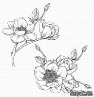 Резиновый штамп My Favorite Things - BG Magnolia Blossoms, 2 шт. - ScrapUA.com