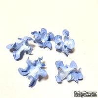 Гортензия волнистая, голубая, 5 лепестков, 45 мм, 20 шт