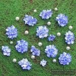 Азалия, бумажные цветы ручной работы, 7 штук, цвет синий с белым - ScrapUA.com