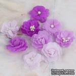 Набор цветов Prima - Lady Godivas - Grape Ice - ScrapUA.com