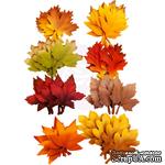 Набор листиков Prima - Autumn Leaves - Autumn Sunset, 48 штук - ScrapUA.com