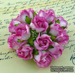 Бутоны диких роз Large 2-tone Pink Wild Rosebuds, 5 шт - ScrapUA.com