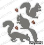 Ножи от Impression Obsession - Squirrel Set