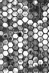 Акриловый штамп от Flourishes -  HONEYCOMB, 10x15 см. - ScrapUA.com