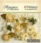 Набор объемных цветов Petaloo - Botanica Minis x 11 - All Ivory - ScrapUA.com