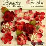 Набор объемных цветов Petaloo - Botanica Minis - Red - ScrapUA.com