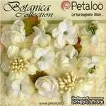 Набор объемных цветов Petaloo - Botanica Minis - White - ScrapUA.com