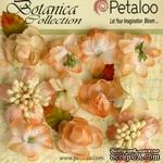 Набор объемных цветов Petaloo - Botanica Minis - Peach - ScrapUA.com