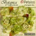 Набор объемных цветов Petaloo - Botanica Minis - Pistachio - ScrapUA.com