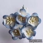 Цветы вишни, цвет античный синий, диаметр - 25мм, 5 шт. - ScrapUA.com