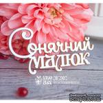 Чипборд ScrapBox - надпись Сонячний малюк Hi-240 - ScrapUA.com