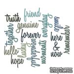 Лезвие от Sizzix - Tim Holtz - Thinlits Dies Script Friendship Words Collection pk of 16 - Слова - ScrapUA.com