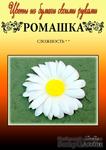 Набор тутовой бумаги для создания цветов - Ромашка - ScrapUA.com