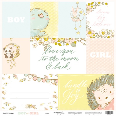 Аркуш односторонній, Scrapmir - Картка (ENG) - Boy or Girl, 30x30cм