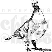 Акриловые штампы дизайна Елены Виноградовой "Смотрящий голубь"