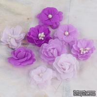 Набор цветов Prima - Lady Godivas - Grape Ice