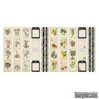 Набор полос с картинками для декорирования Botany exotic 5 шт 5х30,5 см, ТМ Фабрика Декора