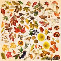 Лист с картинками для вырезания Autumn botanical diary 30,5х30,5 см, ТМ Фабрика Декора.