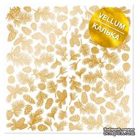 Аркуш кальки (веллум) з золотим візерунком Golden Pine cones 30,5х30,5 см, ТМ Фабрика Декору
