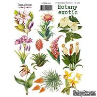 Набір наклейок (стікерів) 10 шт Botany exotic 204, ТМ Фабрика Декору