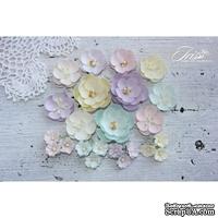 Набор цветов TM Iris - Anemone Baby Shabby, 23 шт