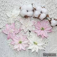 Набор цветов TM Iris - Cortez Pink and white, 9 шт