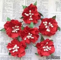 Набор бумажных цветов от Scrap Klumba Wild flower red, 6 шт., диаметр 3 см