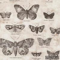 Ткань 100% хлопок - Tim Holtz Eclectic - Butterflies-Taupe, 45х55 см