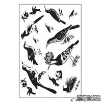 Акриловые штампы от Maya Road "Ornate Feathered Friends", 10х15,2 см, 13 шт.