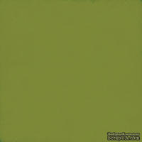 Лист скрапбумаги от Echo Park - Green / Silver, 30х30 см