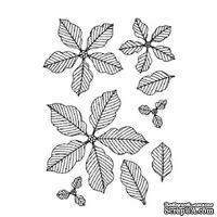 Резиновый ШТАМП Sue Wilson - Pinstriped Poinsettias