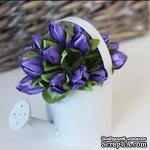 Подснежники фиолетовые, 20 шт. - ScrapUA.com