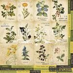 Карточки Botany summer (eng.), ТМ Фабрика Декору - ScrapUA.com