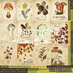 Карточки Botany autumn (рус.), ТМ Фабрика Декору - ScrapUA.com