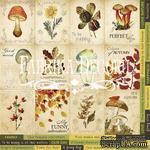 Карточки Botany autumn (англ.), ТМ Фабрика Декору - ScrapUA.com