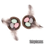 Декоративні гнізда Mini Decorative Nests Eggs &amp; Feathers, 2 шт, dpCraft - ScrapUA.com