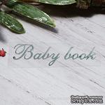 Термонадпись &quot;Baby Book&quot; №1, серебро - ScrapUA.com