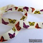 Лента Eyelet Outlet - Butterfly Ribbon, ширина 15 мм, длина 90 см - ScrapUA.com