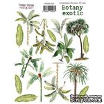 Набор наклеек (стикеров) 15 шт Botany exotic 207, ТМ Фабрика Декора - ScrapUA.com