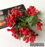 Веточки с ягодками, цвет красный, 12 штук, B63129 - ScrapUA.com