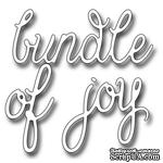 Лезвие Frantic Stamper - Precision Die - Bundle Of Joy  - ScrapUA.com