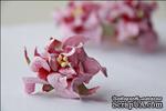 Гардения, диаметр 5 см, цвет розовый, 1 шт. - ScrapUA.com