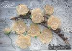 Набор цветов Royalty flowers Нежный персик, ТМ Iris, 9 шт - ScrapUA.com