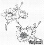 Резиновый штамп My Favorite Things - BG Magnolia Blossoms, 2 шт. - ScrapUA.com