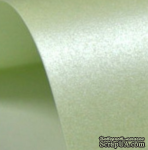 Дизайнерский картон  Majestic fresh mint, 30х30 см, цвет: нежно-салатовый, 290 г/м2, 1 шт. - ScrapUA.com