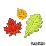 Лезвия от Spellbinders - Fall Leaves Punch Templates for Presto Punch - Осенние листья, 3 шт - ScrapUA.com
