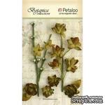 Набор объемных цветов Petaloo - FloralEphemera - Moss Green - ScrapUA.com