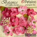 Набор объемных цветов Petaloo - Botanica Minis - Fuchsia - ScrapUA.com